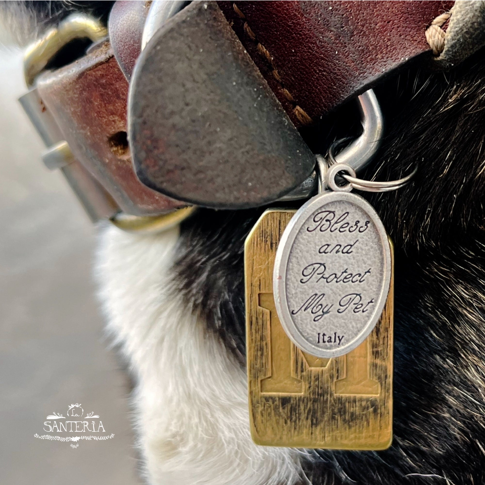 Medalla protección mascotas